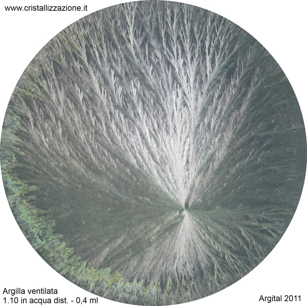 berlin-zelene-mesto-dnes