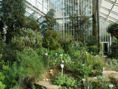 botanicka-zahrada-5