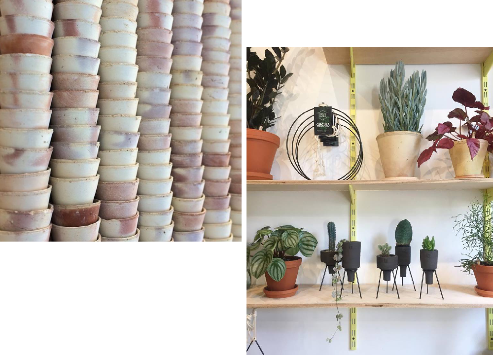 botanical-room-berlin-pokojovky-3