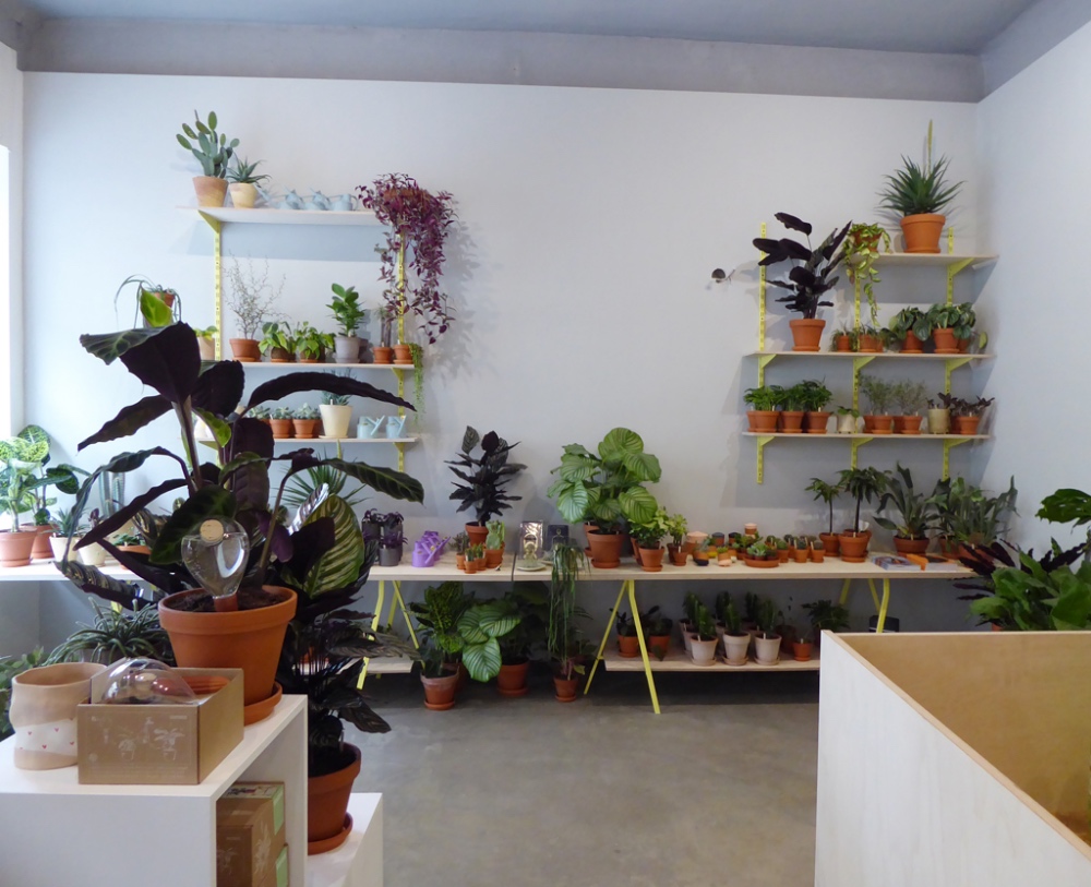 botanical-room-berlin-pokojovky