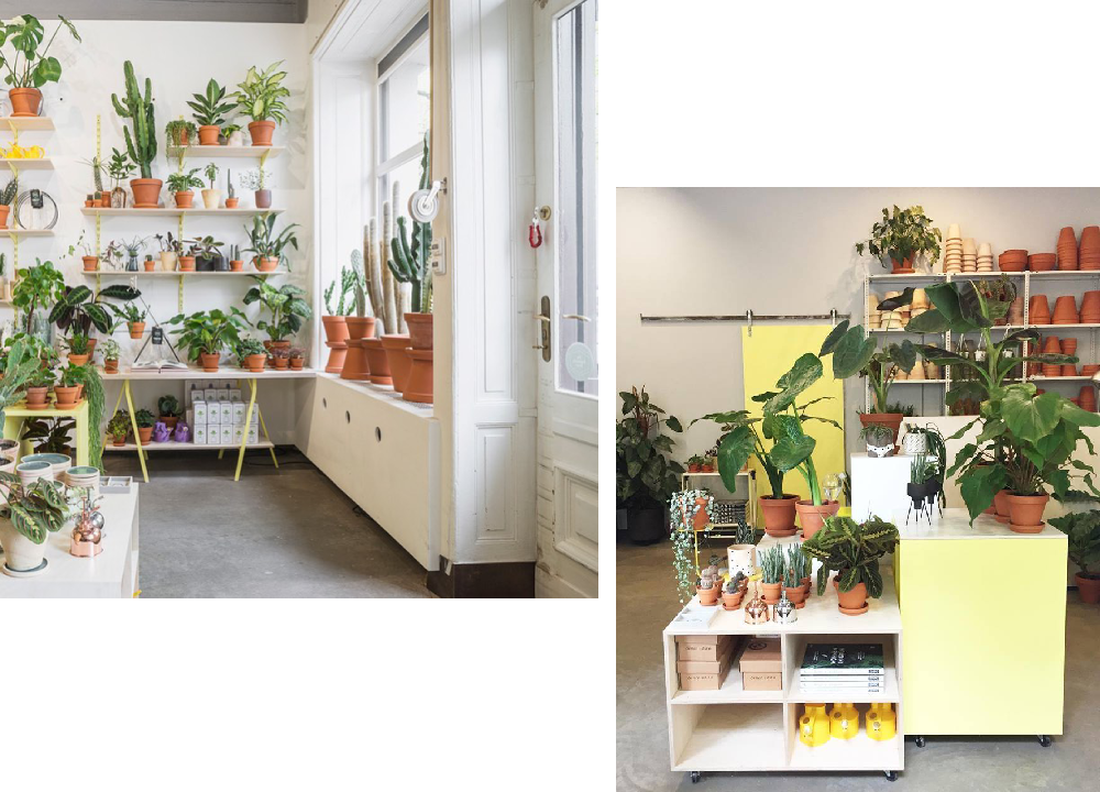 botanical-room-pokojovky-berlin