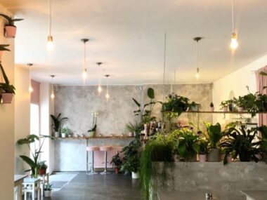 avocado-club-berlin-nahled