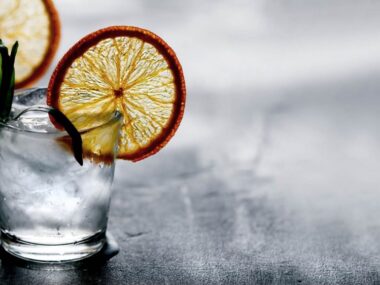 Sash-Fritz-gin-berlin