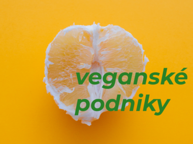 veganske-podniky-praha-berlin
