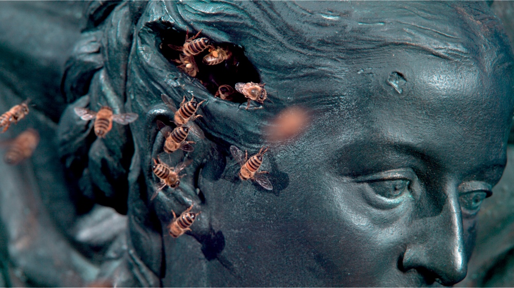 včely-metropole-náhled